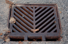 Stormwater and Drainage